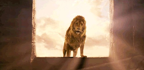 C.S. Lewis: Lion, the Witch and the Wardrobe (2017, Thorndike Press)